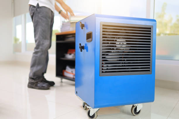Cresson, PA Mold Removal Company