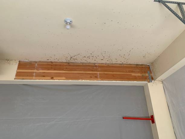 Dehumidification Services in Cresson, PA